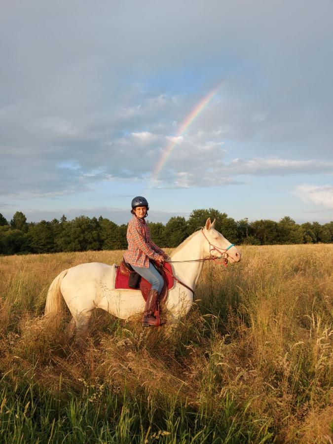 Caloroczne Jurty Mongolskie - "Domy Slonca" Kłodzko Esterno foto